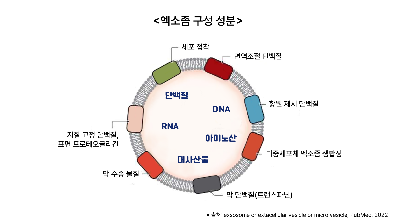 이미지 설명이 없습니다.